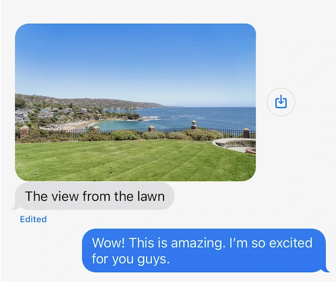Client text: the view from the lawn